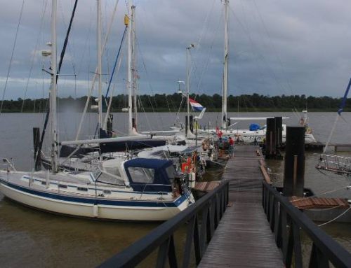 Marina Waterland im Surinam River